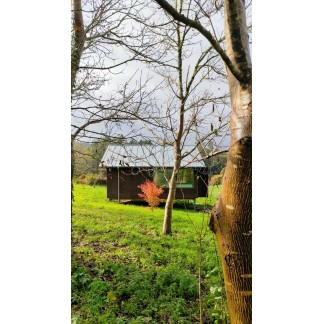 CORCHO 100% NAUTRAL EN PLACA