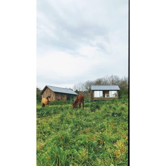 CORCHO 100% NAUTRAL EN PLACA