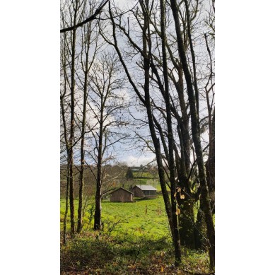 CORCHO 100% NAUTRAL EN PLACA